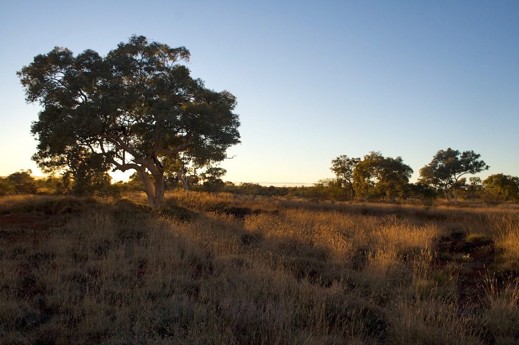 Camping Your Way Around Australia: Karijini National Park