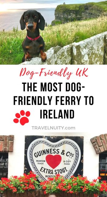 Irish 2024 ferries dogs