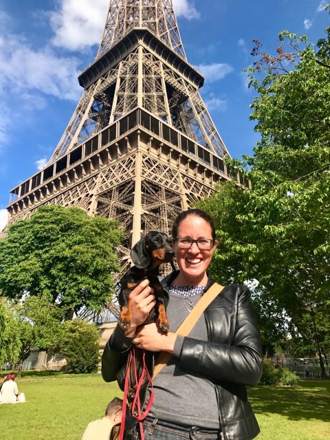 Vueling dogs: Dog at Eiffel Tower