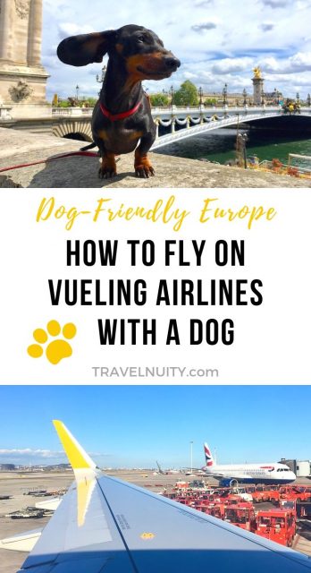 vueling pets