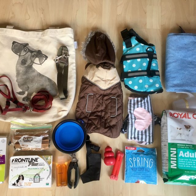 Dog travel packing list