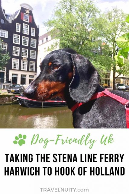 Stena Line Ferry to Hook of Holland with a Dog