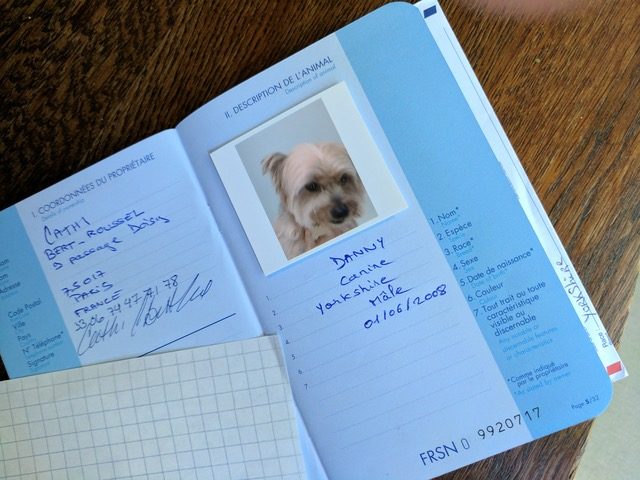 how to get a pet passport for a pug in finland