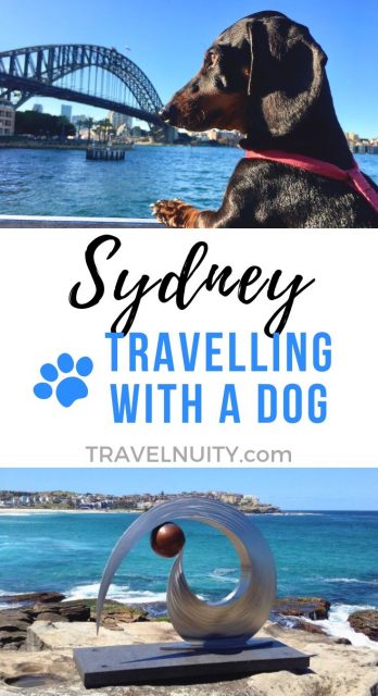 Dog-Friendly Sydney: Visiting Sydney with a Dog - Travelnuity