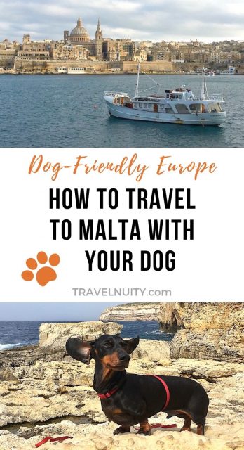 travel to malta with dog