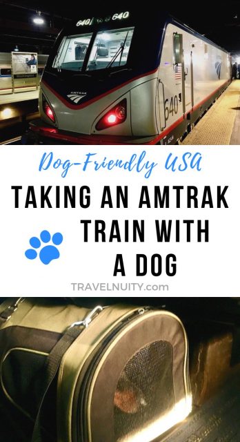 are you allowed to take dogs on trains