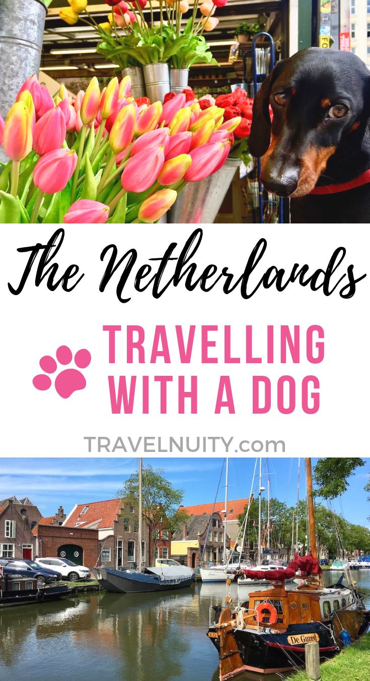 travel to netherlands with dog