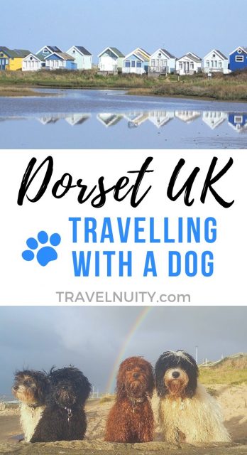 Visit Dorset with a dog pin