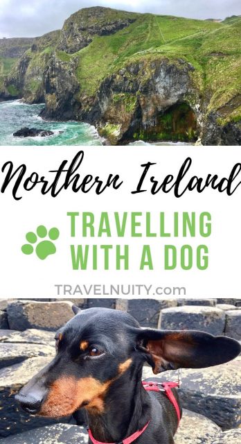 can i take my dog to northern ireland