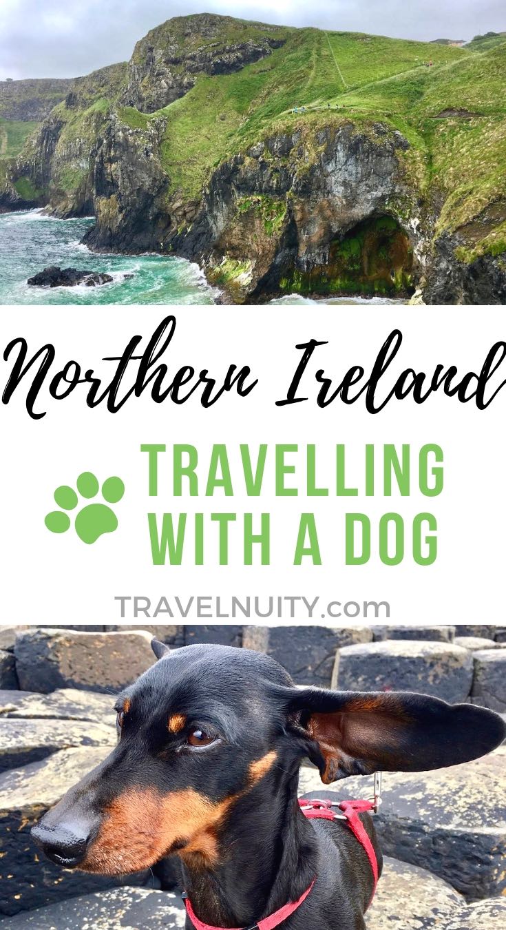 pet travel england to northern ireland