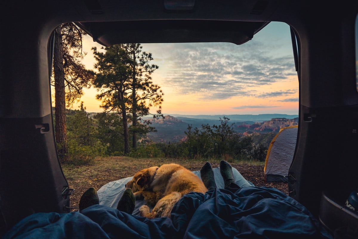 camping with a dog where does he sleep