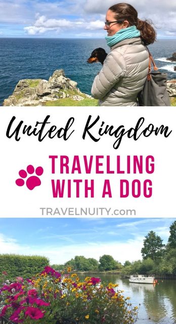 travelling to the uk with a dog