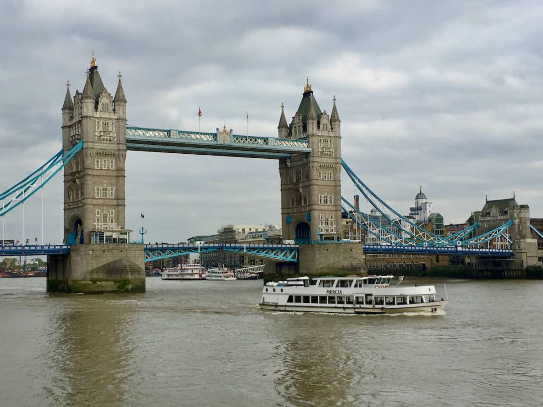 Dog-Friendly London: Visiting London with a Dog - Travelnuity