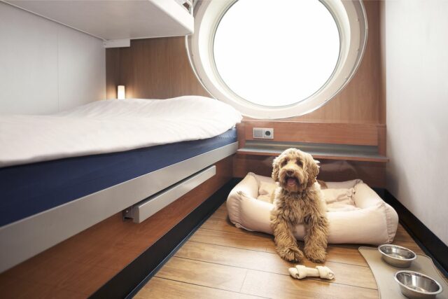 Stena Line Dog-Friendly Cabin