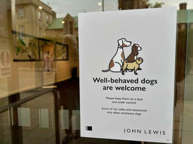 John Lewis Cambridge Dogs Welcome